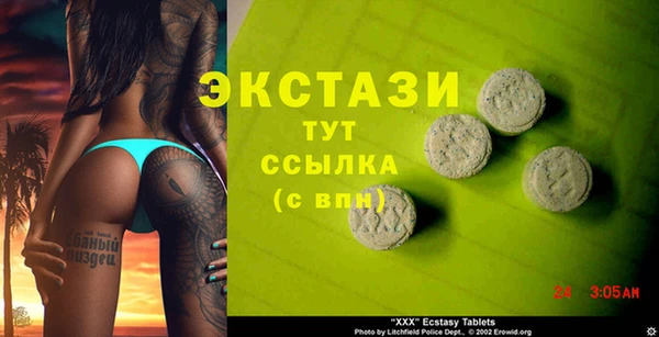 гашик Вяземский