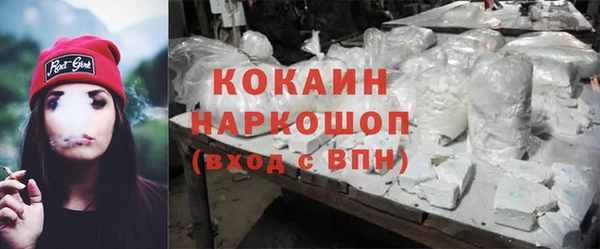 гашик Вяземский
