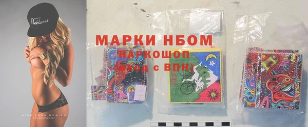 хмурый Горно-Алтайск