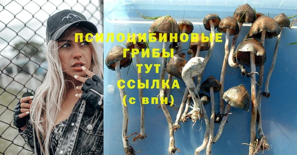 a pvp Вязьма