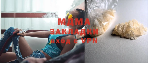гашик Вяземский