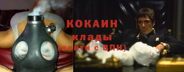 гашик Вяземский