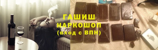 гашик Вяземский