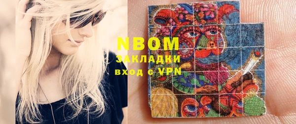 гашик Вяземский