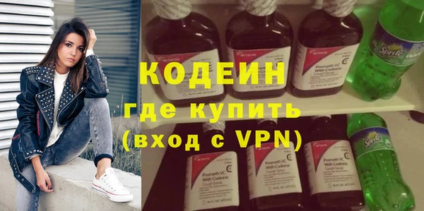 гашик Вяземский