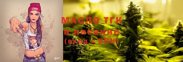гашик Вяземский