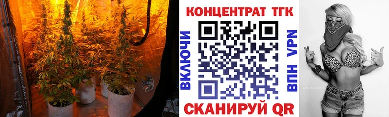 Купить где  Муравленко  Дистиллят ТГК Wax 