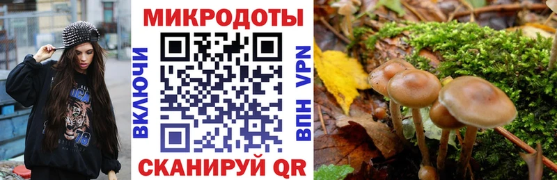 Галлюциногенные грибы Psilocybe  Купить  Муравленко 